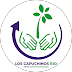  Los Capuchinos Bio